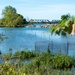 Unity Island North Pond