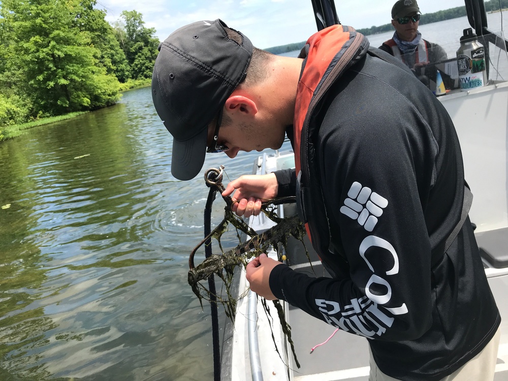 USACE- Buffalo District, Penn. DCNR, Ohio DNR conduct plant survey at Pymatuning Reservoir