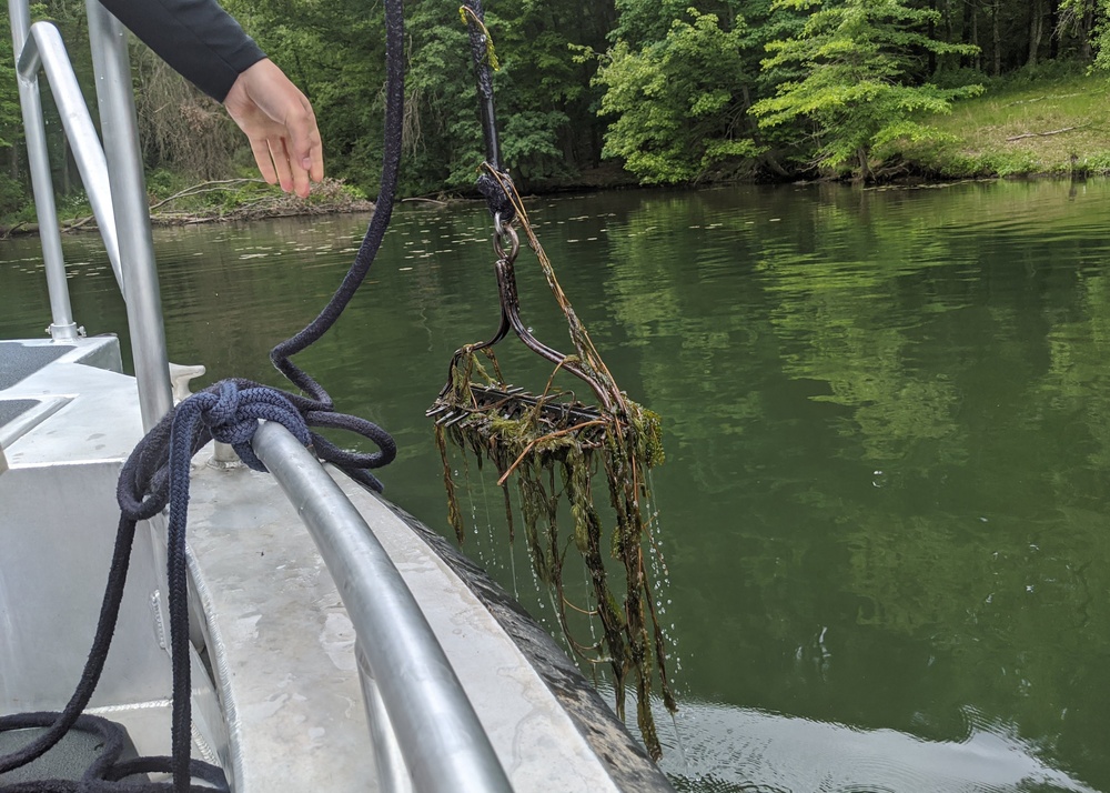 USACE- Buffalo District, Penn. DCNR, Ohio DNR conduct plant survey at Pymatuning Reservoir