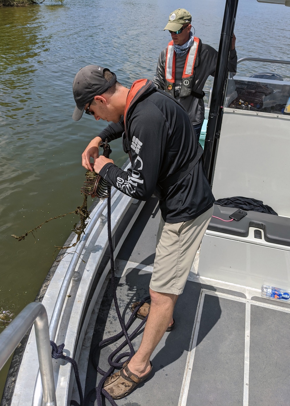 USACE- Buffalo District, Penn. DCNR, Ohio DNR conduct plant survey at Pymatuning Reservoir