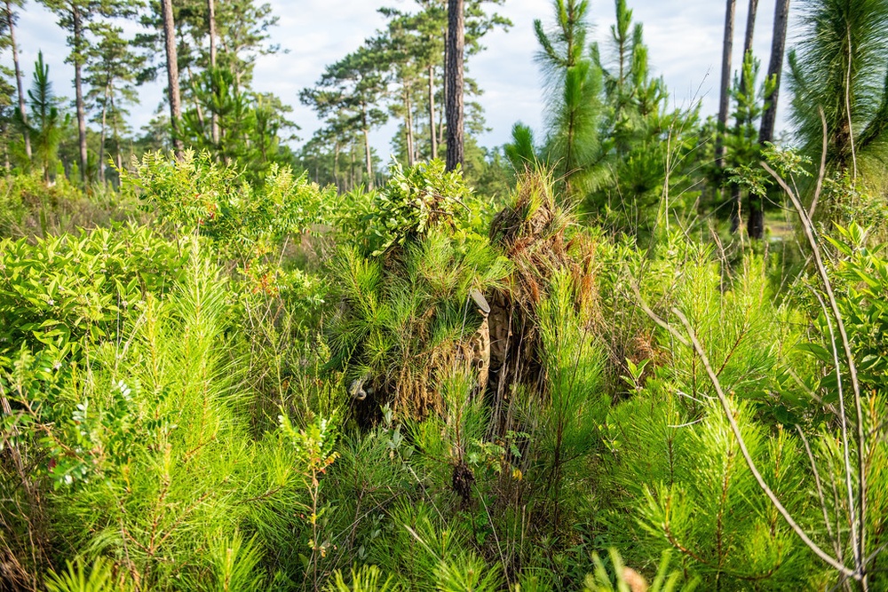 For new Infantry troops on hold during pandemic, Fort Benning offers chance at sniper training
