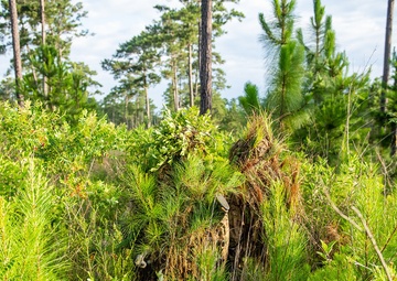 For new Infantry troops on hold during COVID-19, Fort Benning offers chance to seek sniper training