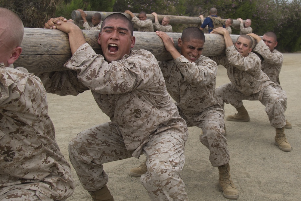 India Company Log Drills