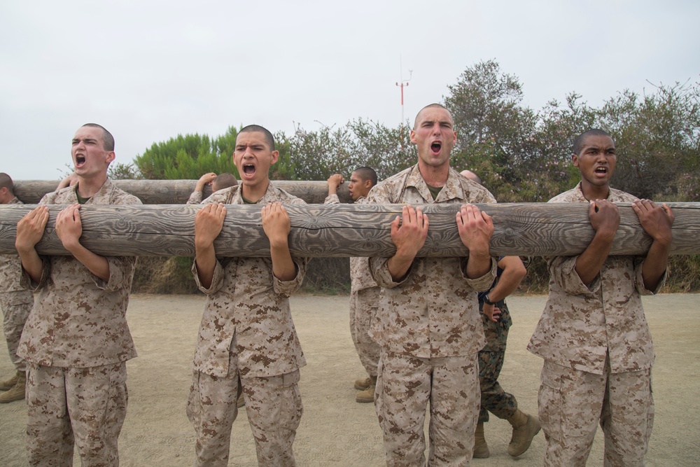 India Company Log Drills