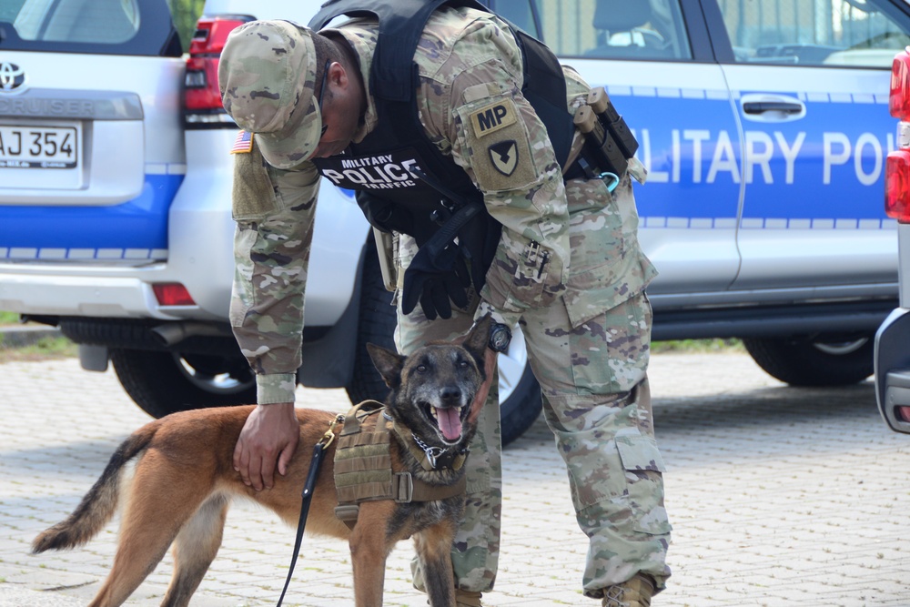 Military Working Dog