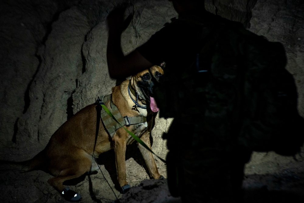 ASAB EOD and MWD conduct joint training