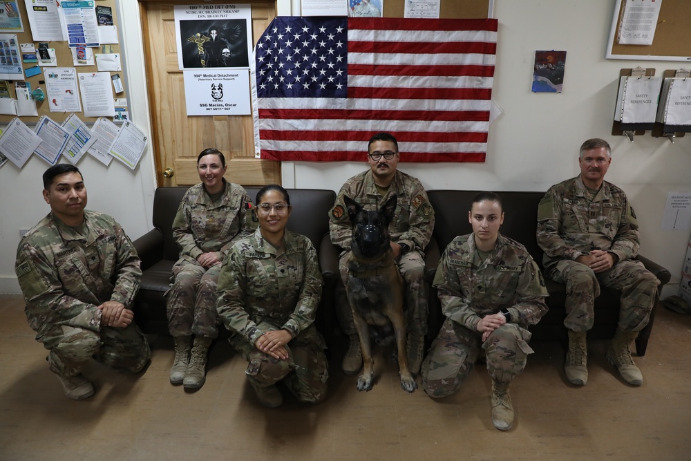 Joint Efforts Lead to Life-Saving Transport and Treatment of Military Working Dog