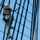 Sailors Assigned to USS Constitution Perform Sail Training Sailors Assigned to USS Constitution Perform Sail Training