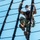Sailors Assigned to USS Constitution Perform Sail Training Sailors Assigned to USS Constitution Perform Sail Training