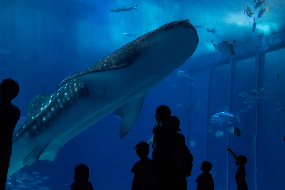 Aquarium