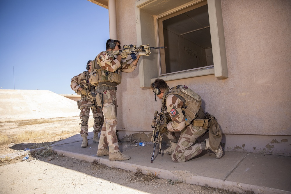 K9 and Norwegian Coalition Room Clearing