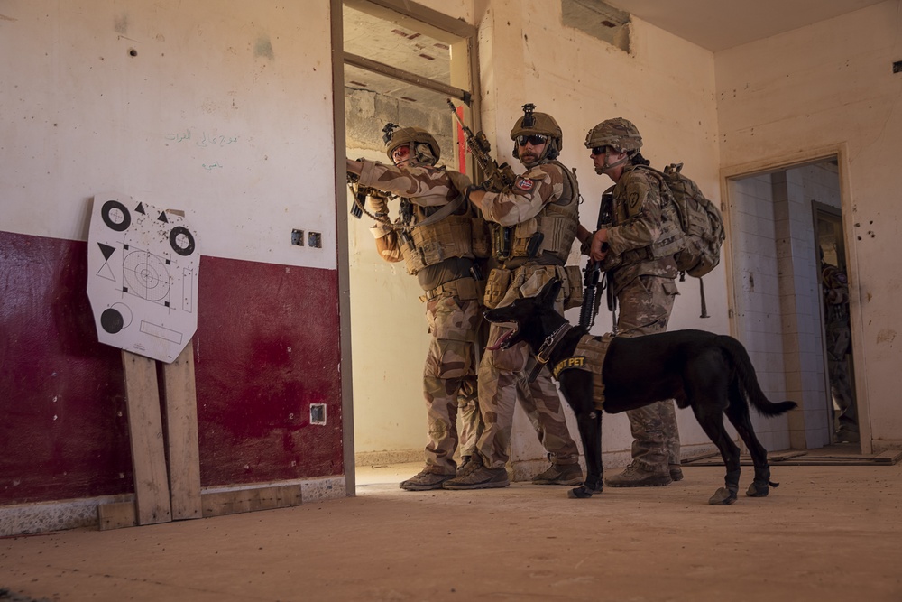 K9 and Norwegian Coalition Room Clearing