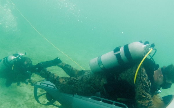 3rd Reconnaissance Battlion DPD Training