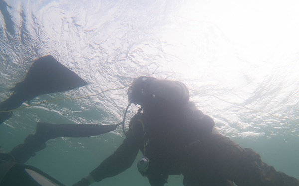 3rd Reconnaissance Battlion DPD Training