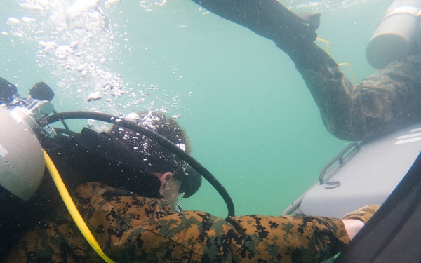 3rd Reconnaissance Battlion DPD Training