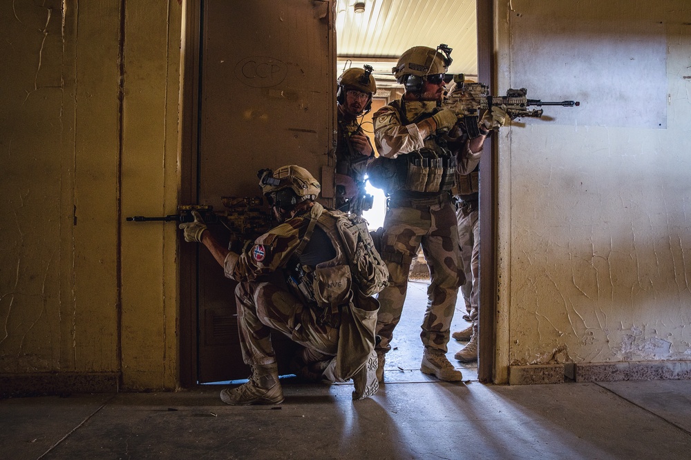 K9 and Norwegian Coalition Room Clearing