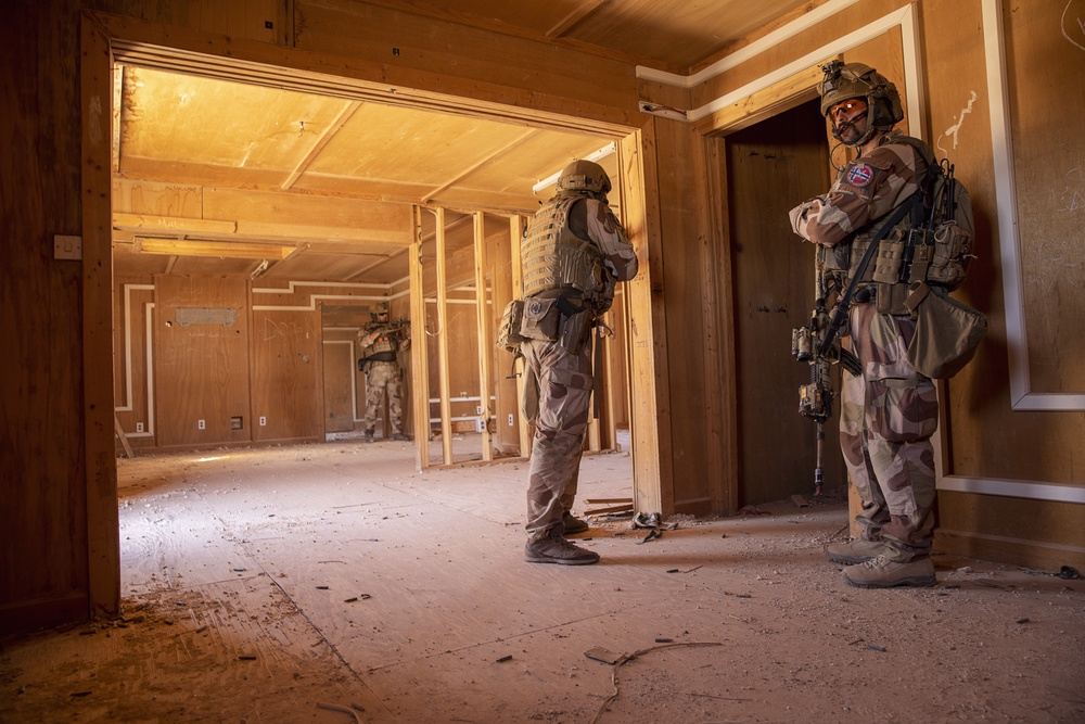 K9 and Norwegian Coalition Room Clearing