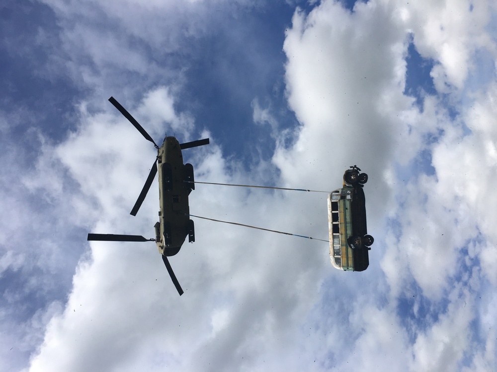 Bird and Bus overhead