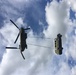 Bird and Bus overhead
