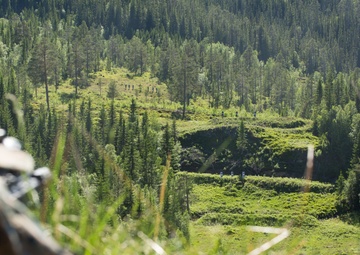 Home-Field Advantage