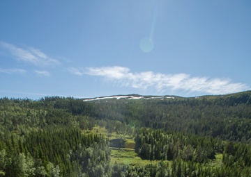 Home-Field Advantage