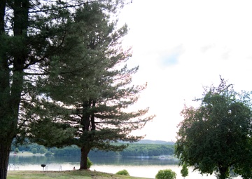 Bon voyage: stay safe