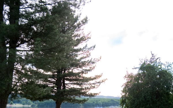 Bon voyage: stay safe