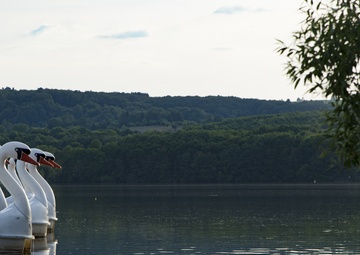 Bon voyage: stay safe