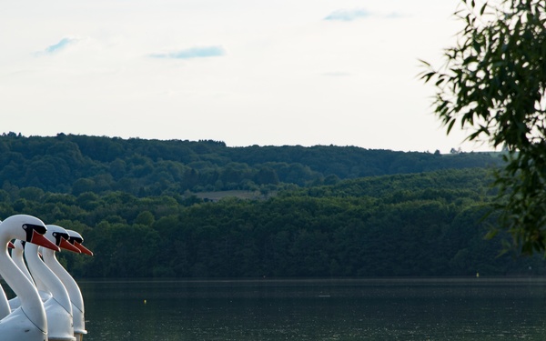 Bon voyage: stay safe