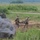 Battle Group Poland conducts Bull Run 12