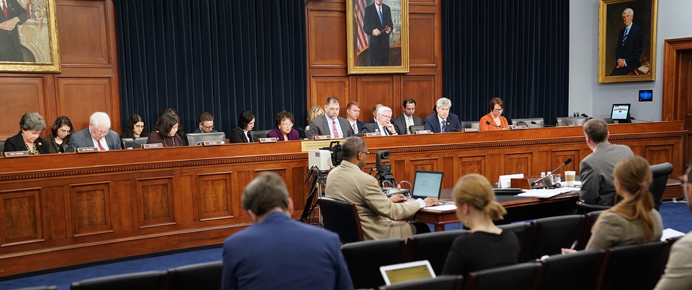 AAID Mark Green at HACFO FY 2021 Budget Hearing