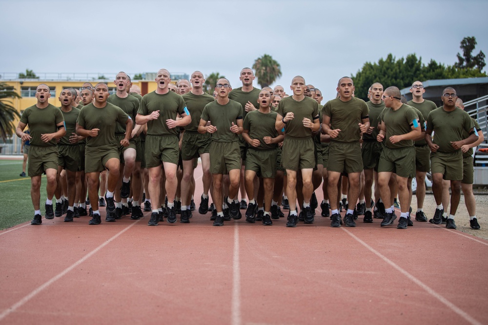 Mike Company PT
