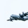 TACP Airmen fly through airborne training TACP Airmen fly through airborne training