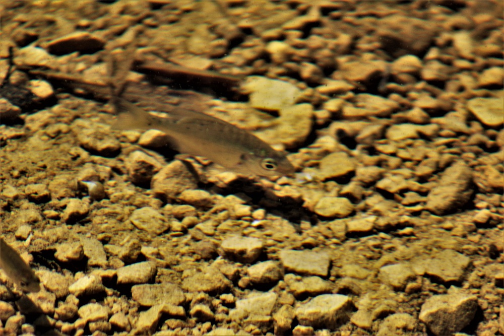 Fort McCoy's West Sandy Lake Fishing and Recreation Area