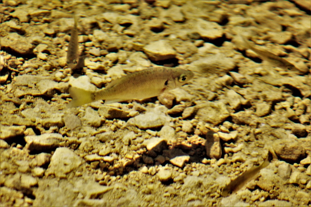 Fort McCoy's West Sandy Lake Fishing and Recreation Area