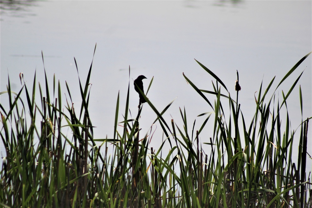 Fort McCoy's West Sandy Lake Fishing and Recreation Area