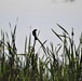 Fort McCoy's West Sandy Lake Fishing and Recreation Area