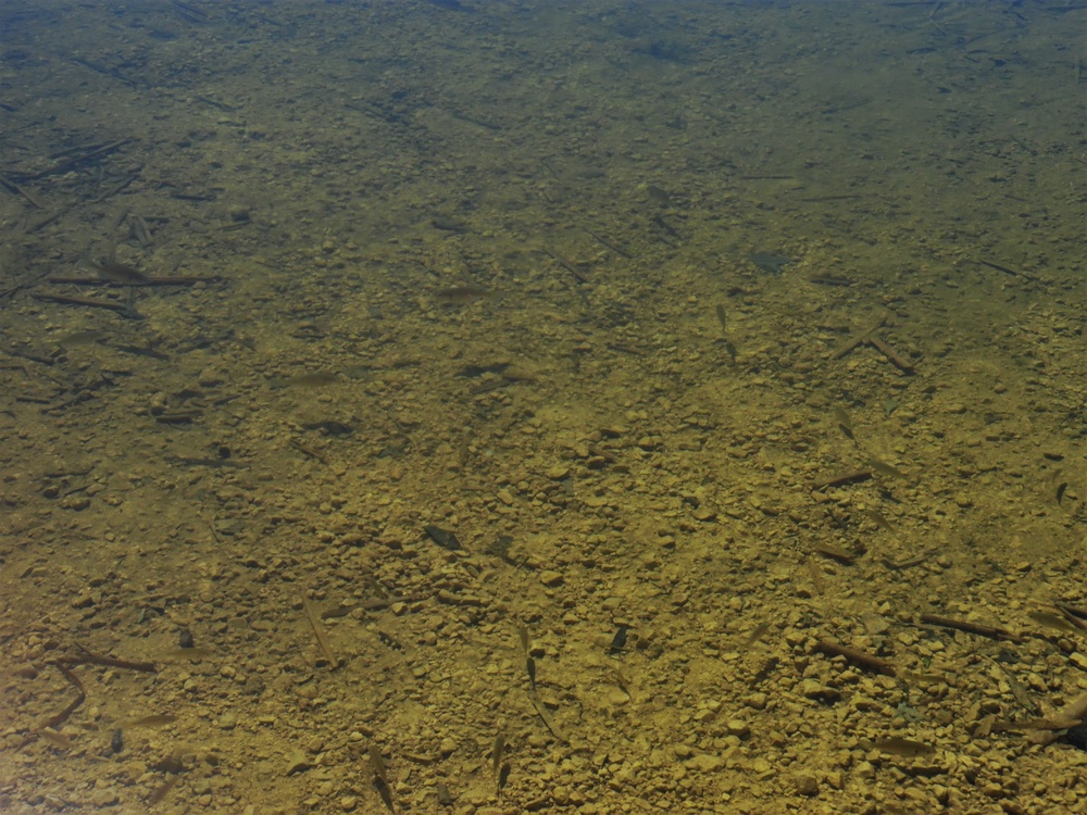 Fort McCoy's West Sandy Lake Fishing and Recreation Area