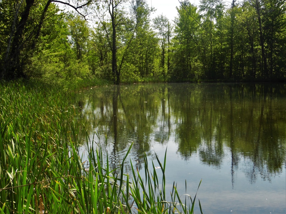 Fort McCoy's West Sandy Lake Fishing and Recreation Area