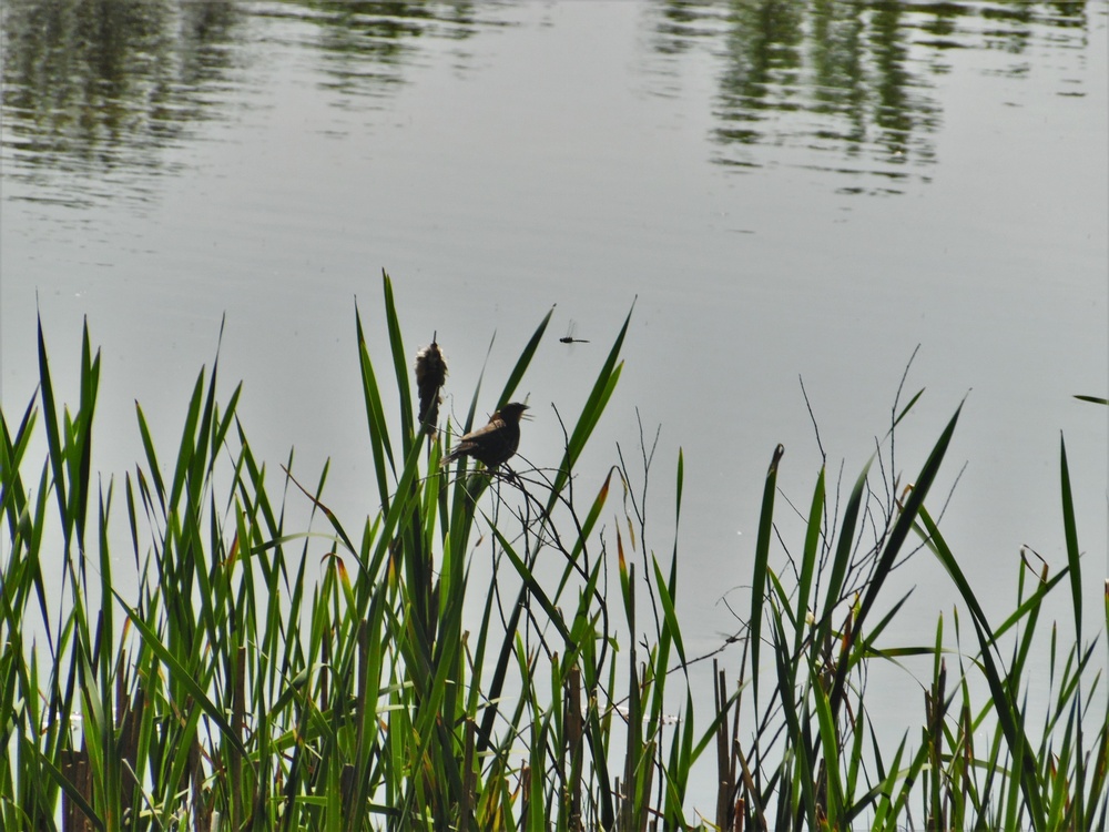 Fort McCoy's West Sandy Lake Fishing and Recreation Area