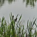 Fort McCoy's West Sandy Lake Fishing and Recreation Area