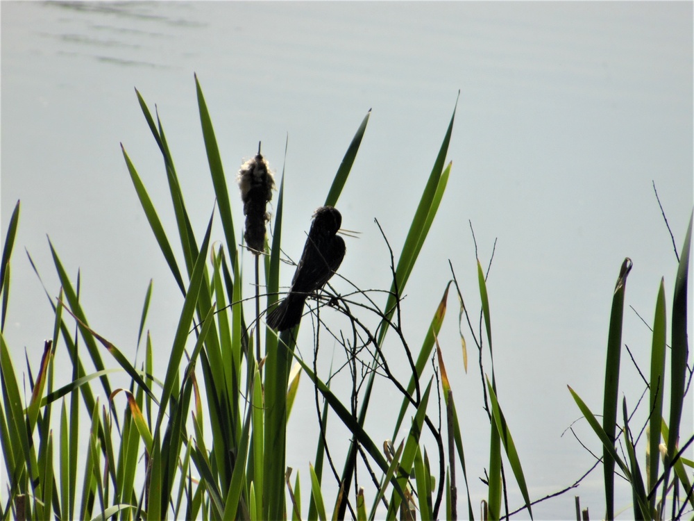 Fort McCoy's West Sandy Lake Fishing and Recreation Area