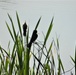 Fort McCoy's West Sandy Lake Fishing and Recreation Area