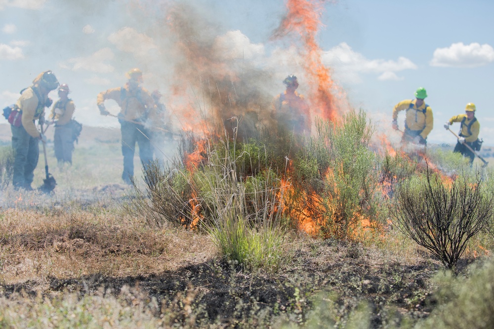 Idaho Guardsmen train to fight wildland fires earning Red Card certifications