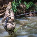 Rope Bridge