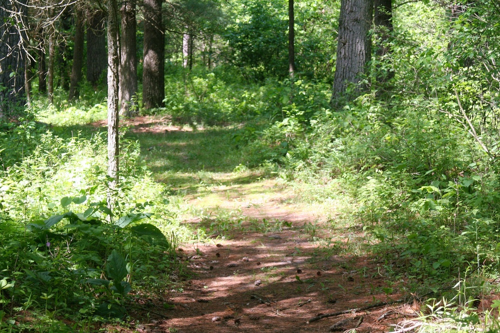 Scenes of Pine View Recreation Area at Fort McCoy