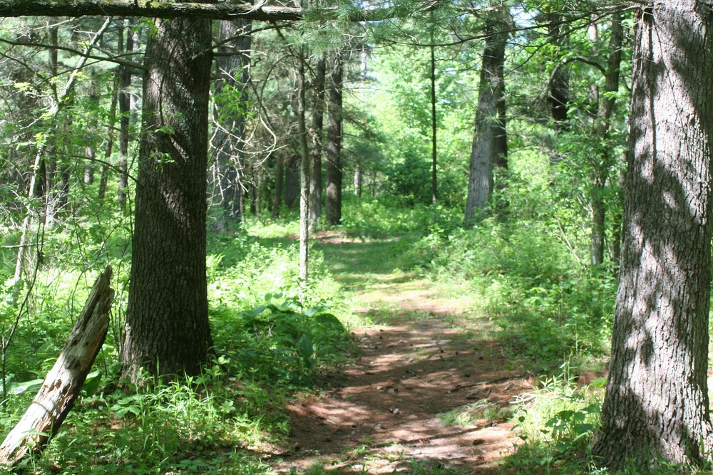 Scenes of Pine View Recreation Area at Fort McCoy