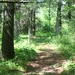 Scenes of Pine View Recreation Area at Fort McCoy