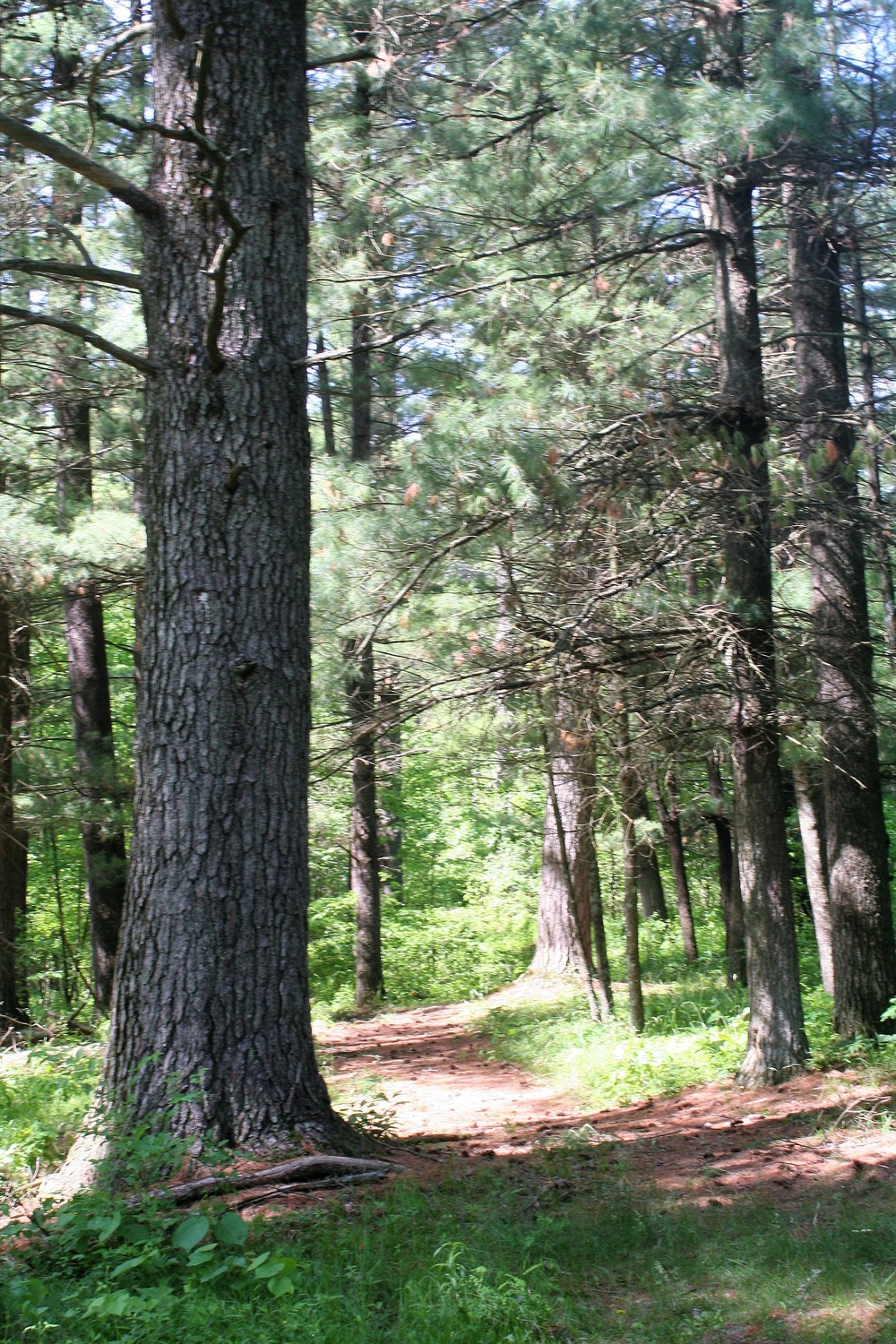 Scenes of Pine View Recreation Area at Fort McCoy