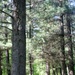 Scenes of Pine View Recreation Area at Fort McCoy